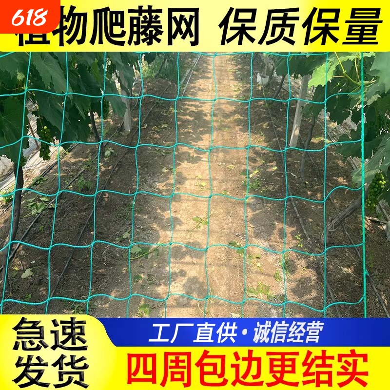 攀爬网蔬菜瓜果爬藤网花卉蔷薇攀爬网月季玫瑰爬藤黄瓜丝瓜爬藤网