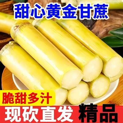 新鲜中段云南黄金甘蔗新鲜孕妇可食用水果可榨汁脆甜爆甜批发