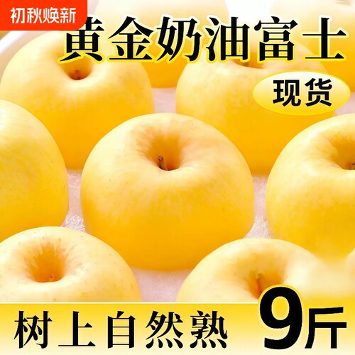 山东烟台黄金奶油富士苹果当季新鲜水果冰糖心牛奶脆甜整箱包邮