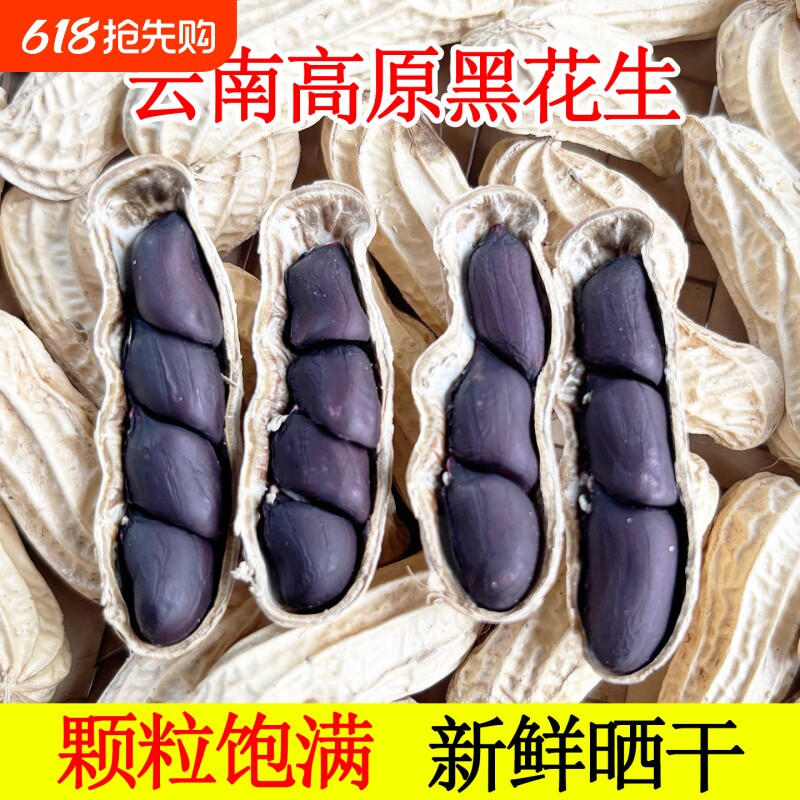 富硒黑花生带壳2025云南普洱特产晒干生熟花生米新货黑皮花生米