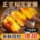 正宗真榴莲蜜薯5斤黄心红薯新鲜农家番薯烤地瓜山芋流蜜沙地软糯