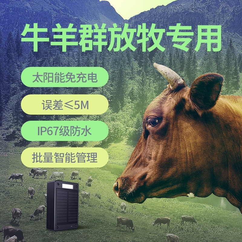 牛羊定位器放牧专用gps北斗卫星防丢追跟马订位追踪神器j