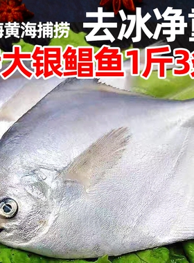 新鲜银鲳鱼4斤5-6条/斤海鲜活金深海白水产平鱼镜鱼海扁鱼年货节