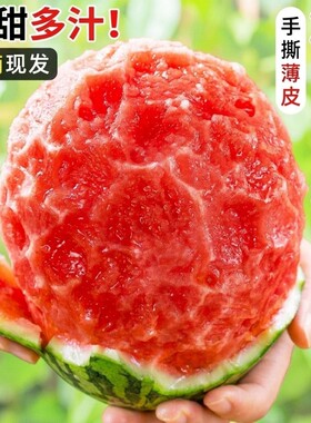 甘肃头茬沙漠种植手剥薄皮2k小西瓜酥脆小糖丸皮薄多汁西瓜4-6斤