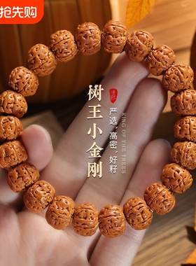 爆肉树王小金刚菩提手串本命年男士文玩双龙核桃盘玩佛珠手链串珠