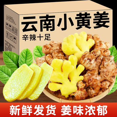 云南农家特产小黄姜厨房调味品