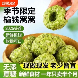 2026榆钱窝窝头山东新鲜槐花窝窝头馍馍馒头野菜团粗粮野菜团馍馍