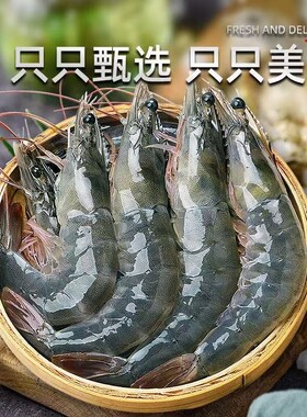 鲜活速冻青岛大虾超大基围虾对虾特大白虾冷冻非青虾海鲜年货