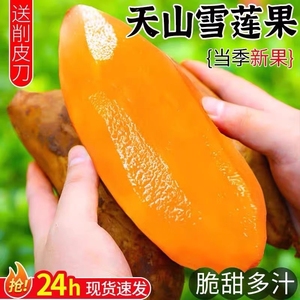 云南天山雪莲果5斤！！！