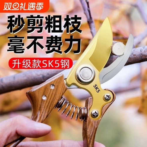 SK5修枝剪园艺剪刀剪树枝专用剪刀园林修剪果树修枝花艺修花剪刀