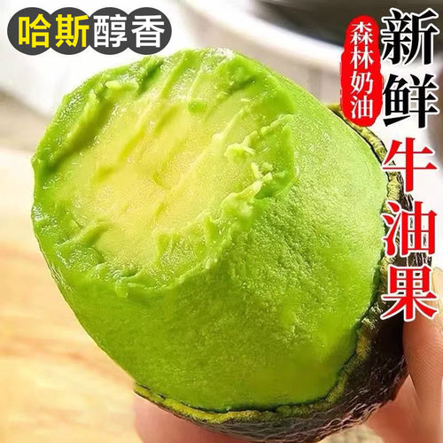 秘鲁进口哈斯牛油果大果新鲜当季整箱包邮非熟透一级鳄梨奶油口感