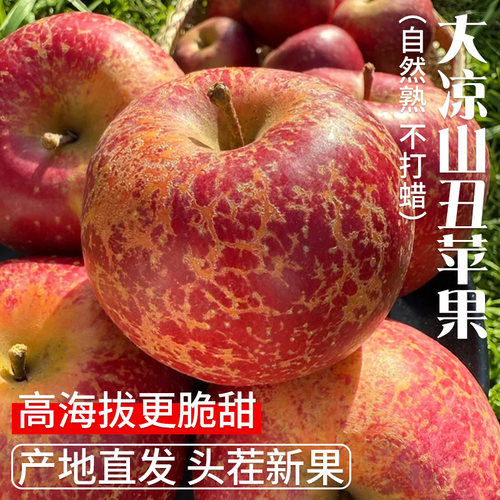 正宗大凉山丑苹果脆甜可口水果当季新鲜整箱红富士苹果新鲜现摘