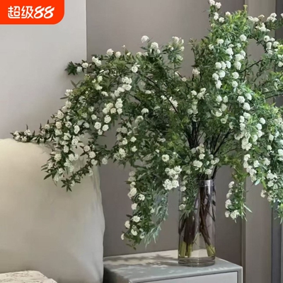 水培小手球鲜切花鲜花云南基地直发单瓣手球花客厅装饰插花花期长