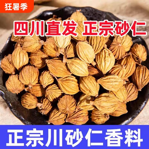 川砂仁香料商用500g干货香砂仁果