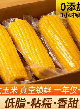 黄糯玉米新货东北甜糯玉米真空包装加热即食粗粮代餐饱腹减脂轻食