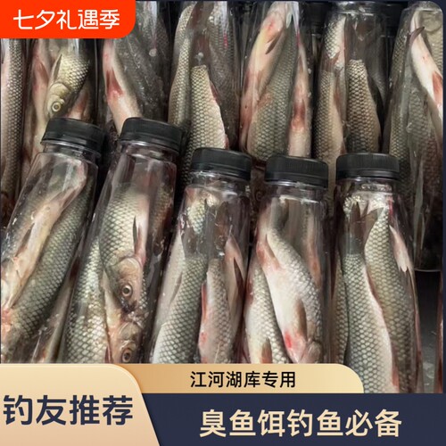 古亦佳臭鱼饵发酵鲶鱼饵5-9条装