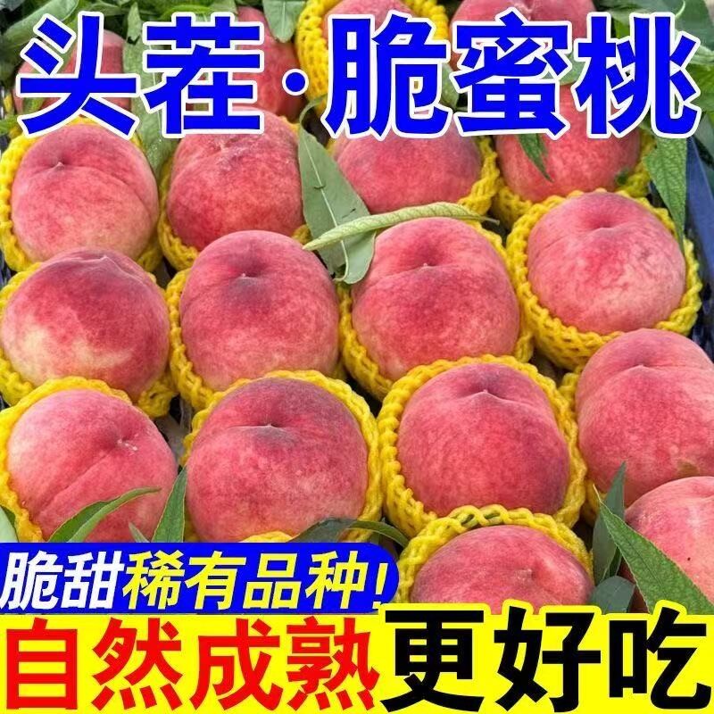 2026头茬】正宗脆蜜桃新鲜水果脆甜桃毛桃水蜜桃子当季整箱批发价