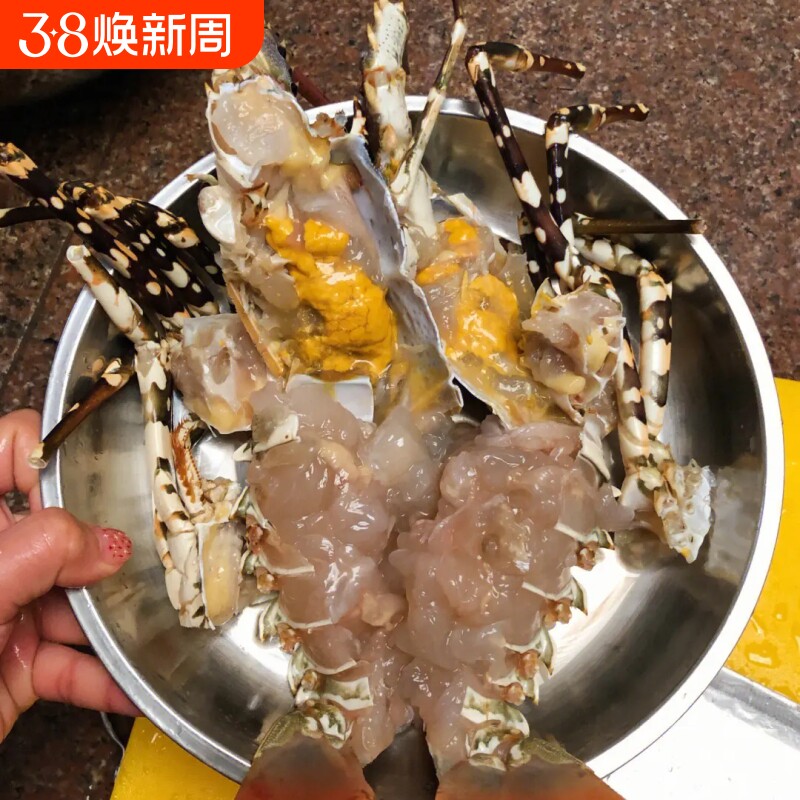 探味岛【顺丰包邮】海捕新鲜小青龙小龙虾鲜活冷冻花龙澳龙大青龙