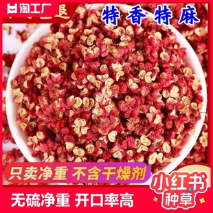 包邮 花椒 500克食用大红袍四川汉源干红花椒粒调味料散装 大料调料