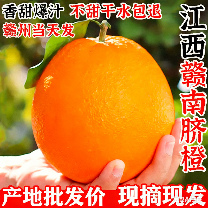 正宗赣南脐橙橙子新鲜10斤江西赣州产地直发果园大果水果礼盒,水产肉类/新鲜蔬果/熟食,橙,淘宝优惠券,粉丝福利购,淘宝优惠卷