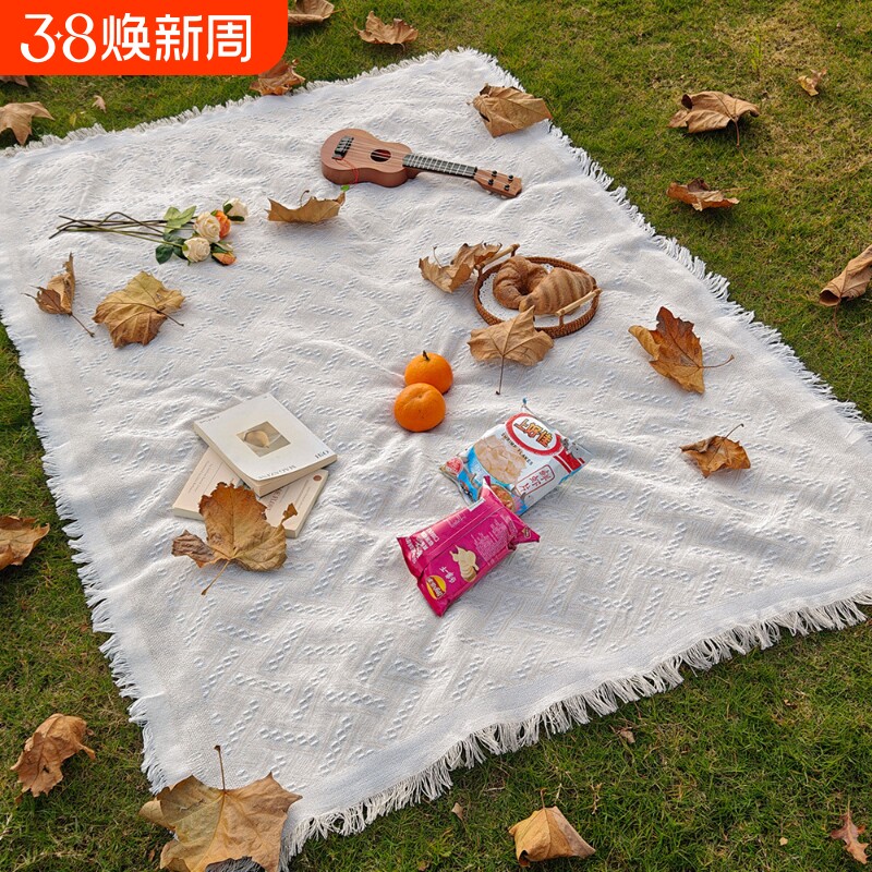 T野餐垫防潮垫野餐布户外露营白色毯子沙滩垫帐篷地垫法式拍现代