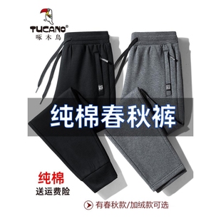 男士 直筒长裤 纯棉薄款 冬季 加絨加厚束脚卫裤 啄木鸟春秋运动休闲裤