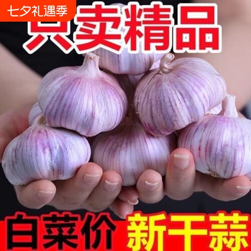 河南杞县大蒜头2026年新干蒜紫白皮多瓣干蒜 农家自种当季新蒜头