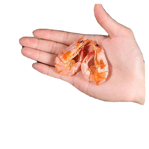 烤虾干即食烤虾干虾开袋虾干干货大虾特大水产鲜活特色油炸新鲜