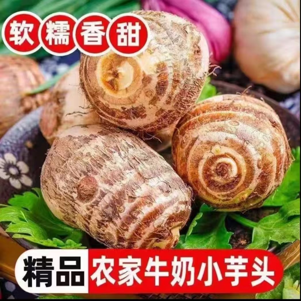高山现挖牛奶小芋头新鲜毛芋子农家自种粉糯甜芋仔毛芋艿应季蔬菜,水产肉类/新鲜蔬果/熟食,芋头,淘宝优惠券,粉丝福利购,淘宝优惠卷