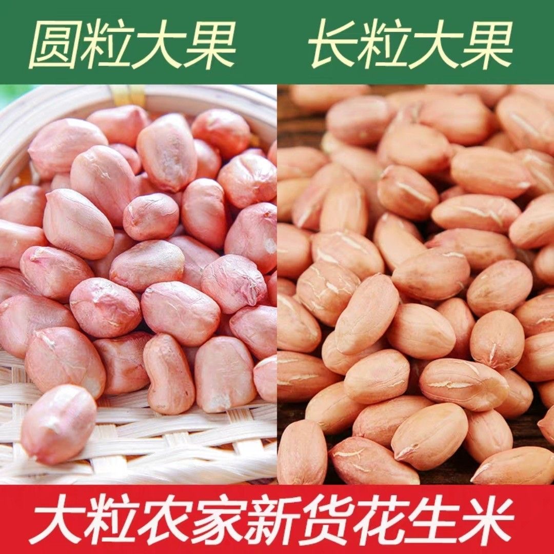 河南南阳大白沙生花生仁花生米 优质不带壳批发价 晒干发货