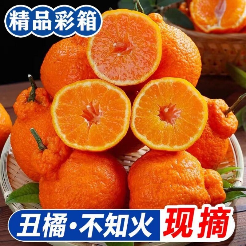 四川不知火丑橘高山耙耙柑彩箱8斤超大果桔子橙子丑八怪水果现摘