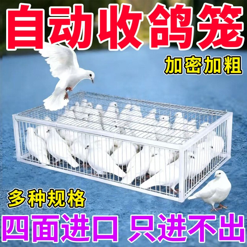 只进不出鸟笼全自动天落笼子撞门户外抓收鸽子捕加密可连厂家