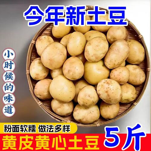 恩施小土豆农家正宗新鲜