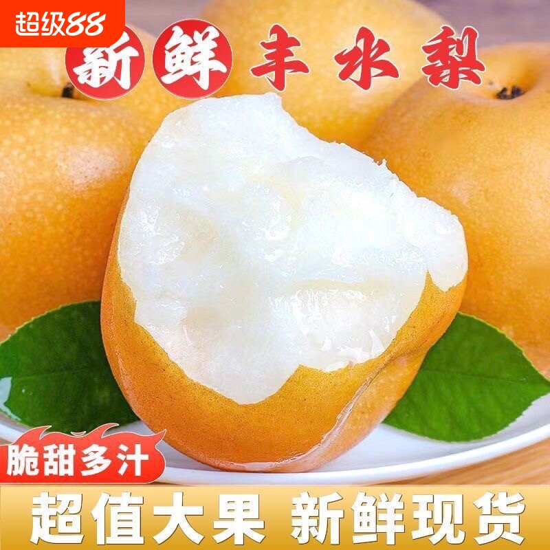酥脆丰水梨产地直发新鲜水果农家自种冰糖梨子当季水果新鲜发货