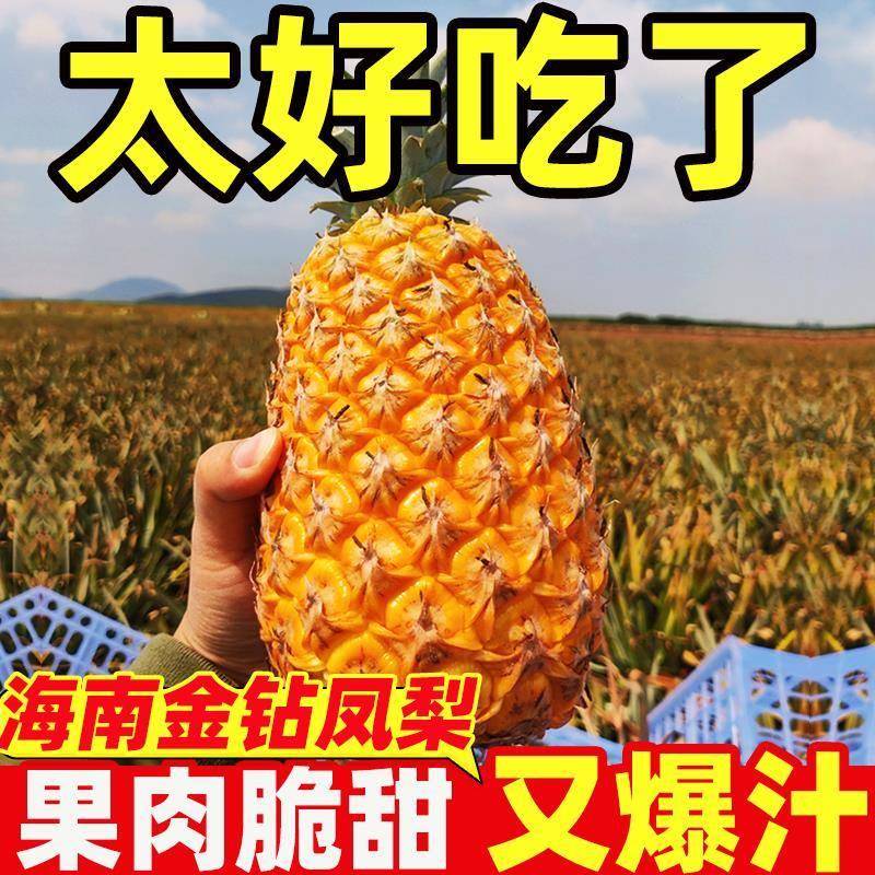 海南金钻凤梨整箱包邮
