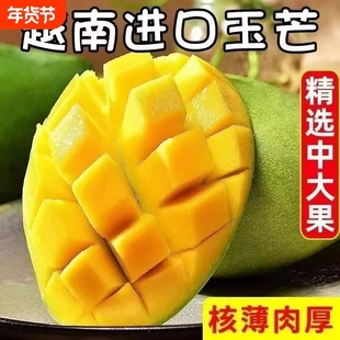 催熟食用正宗越南玉芒大青芒软糯香甜新鲜芒果热带水果整箱包邮