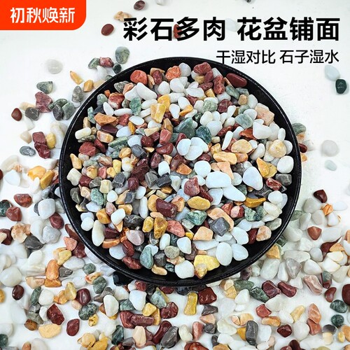 天然彩石盆栽铺面石|千人回购
