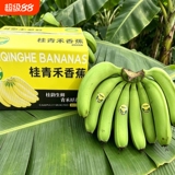净重5斤！广西高山青皮香蕉单根130G+  下拉点淘金币补贴8.9元包邮