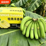 净重5斤！广西高山青皮香蕉单根130G 下拉点淘金币补贴8.9元包邮