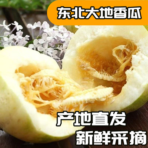 发顺丰东北大地香瓜新鲜甜瓜金妃香瓜京密甜瓜自然成熟脆甜口感