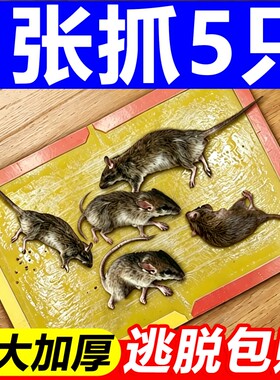 粘鼠板强力胶粘鼠板抓粘大老鼠贴药灭抓鼠神器家用一窝端加大加厚