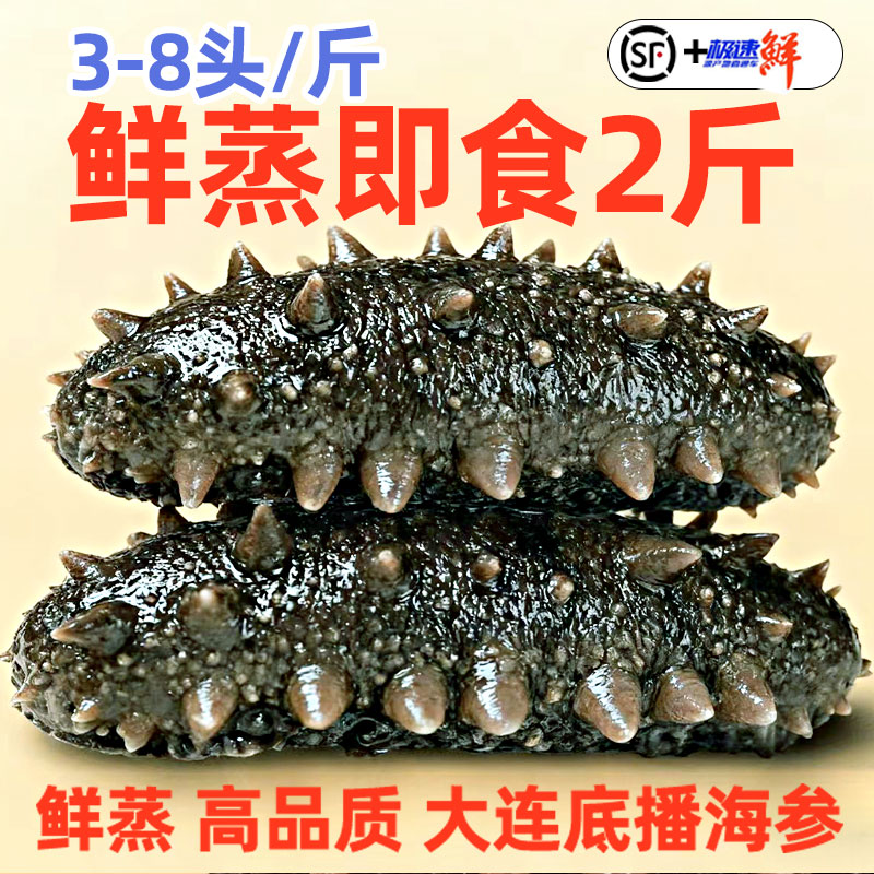 海参开袋即食大连鲜活野生辽参非干货刺参独立包装真空袋海参