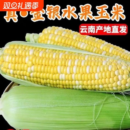 云南红河甜玉米新鲜|214人收藏