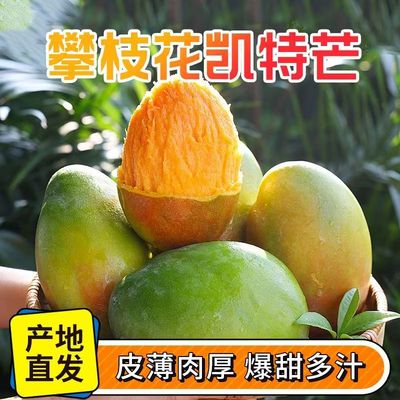 四川攀枝花凯特芒应季香甜大脸芒果新鲜孕妇水果果园采摘产地直发