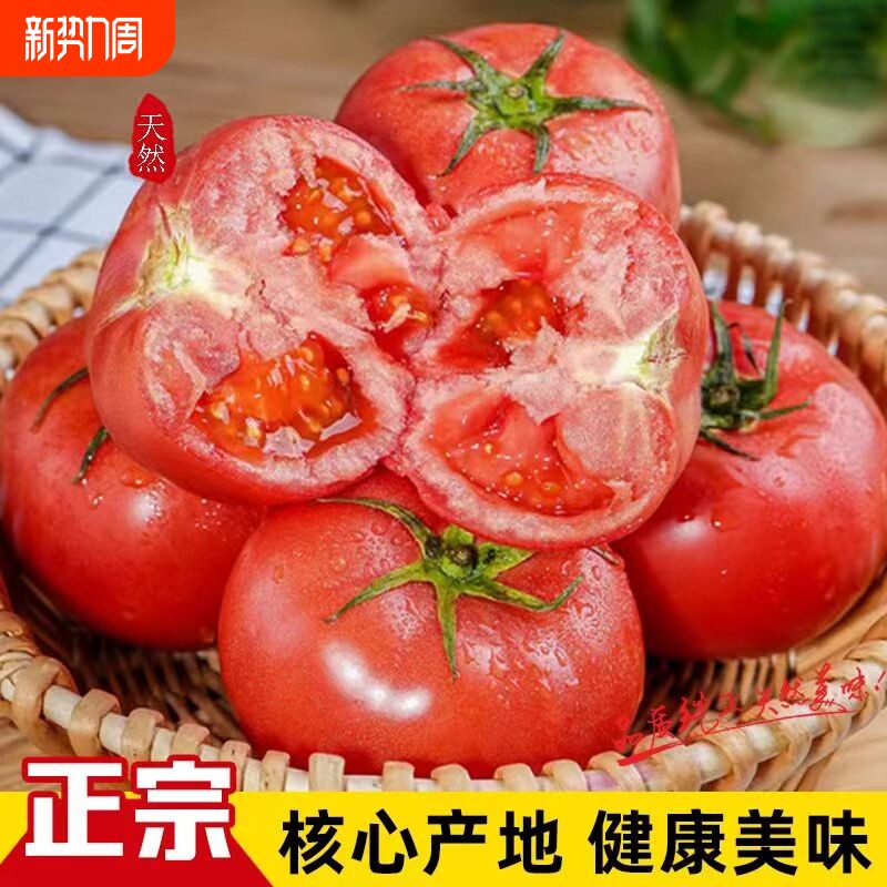 西红柿自然成熟农家自种现摘现发生吃酸甜沙瓤番茄新鲜水果蔬菜
