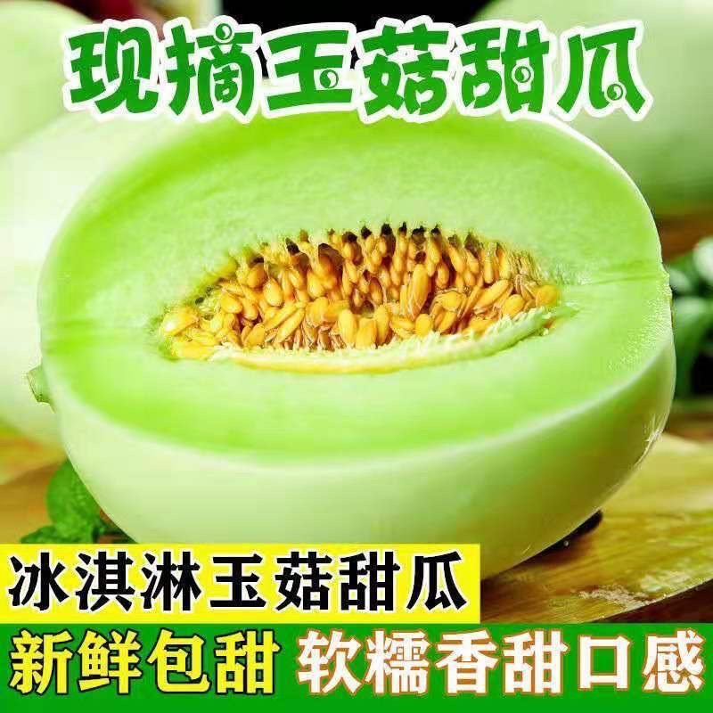 正宗海南玉菇甜瓜冰淇淋蜜瓜新鲜应当季孕妇可食软糯香甜整箱批发,水产肉类/新鲜蔬果/熟食,甜瓜,淘宝优惠券,粉丝福利购,淘宝优惠卷