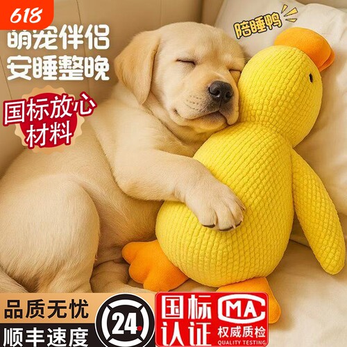 狗狗玩具解闷神器宠物小