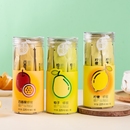 儿童蜂蜜果茶果味 独立小包装 养蜂婆婆蜂蜜柠檬柚子茶便携袋装 条装