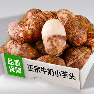 现挖芋头新鲜小香芋芋艿现挖芋奶毛芋头牛奶芋头奶芋头仔整箱农家