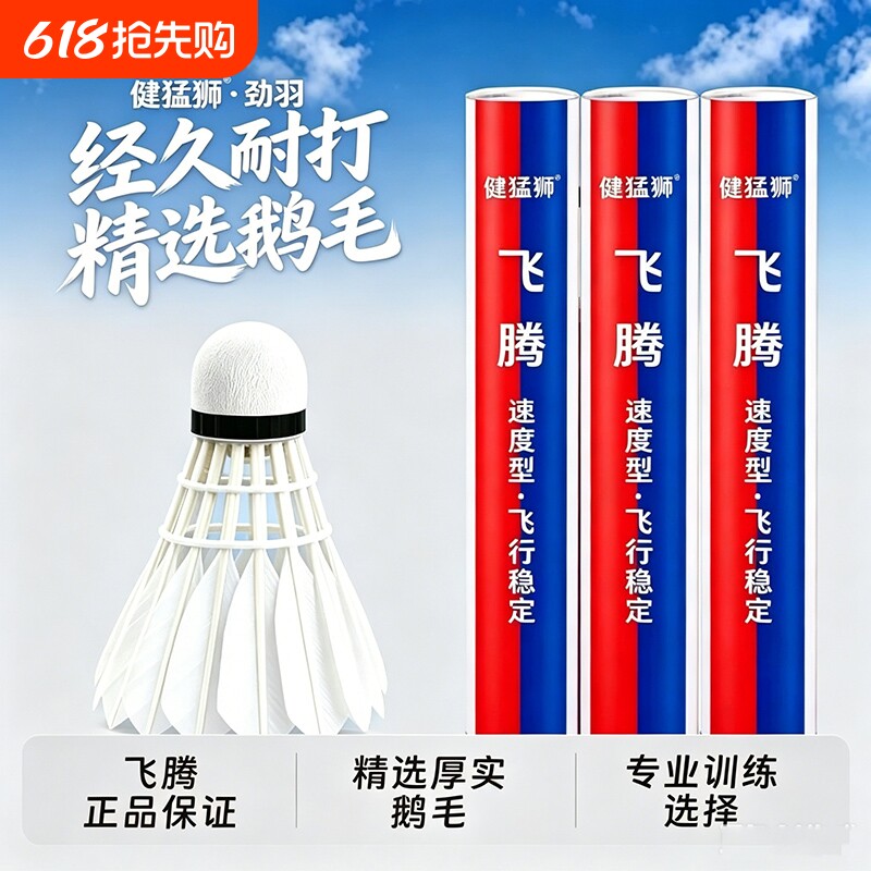 羽毛球无标室内外练习比赛训练休闲娱乐鹅毛球俱乐部用球12只装